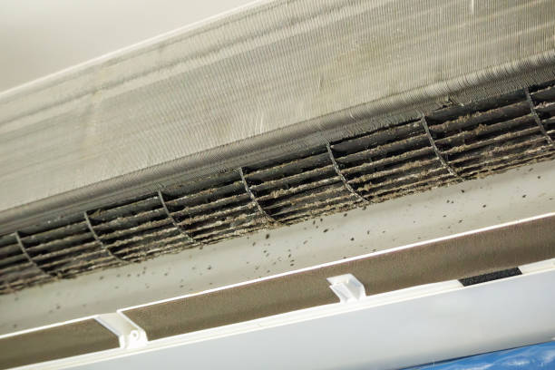 Best Air Duct Sanitization & Disinfection in USA